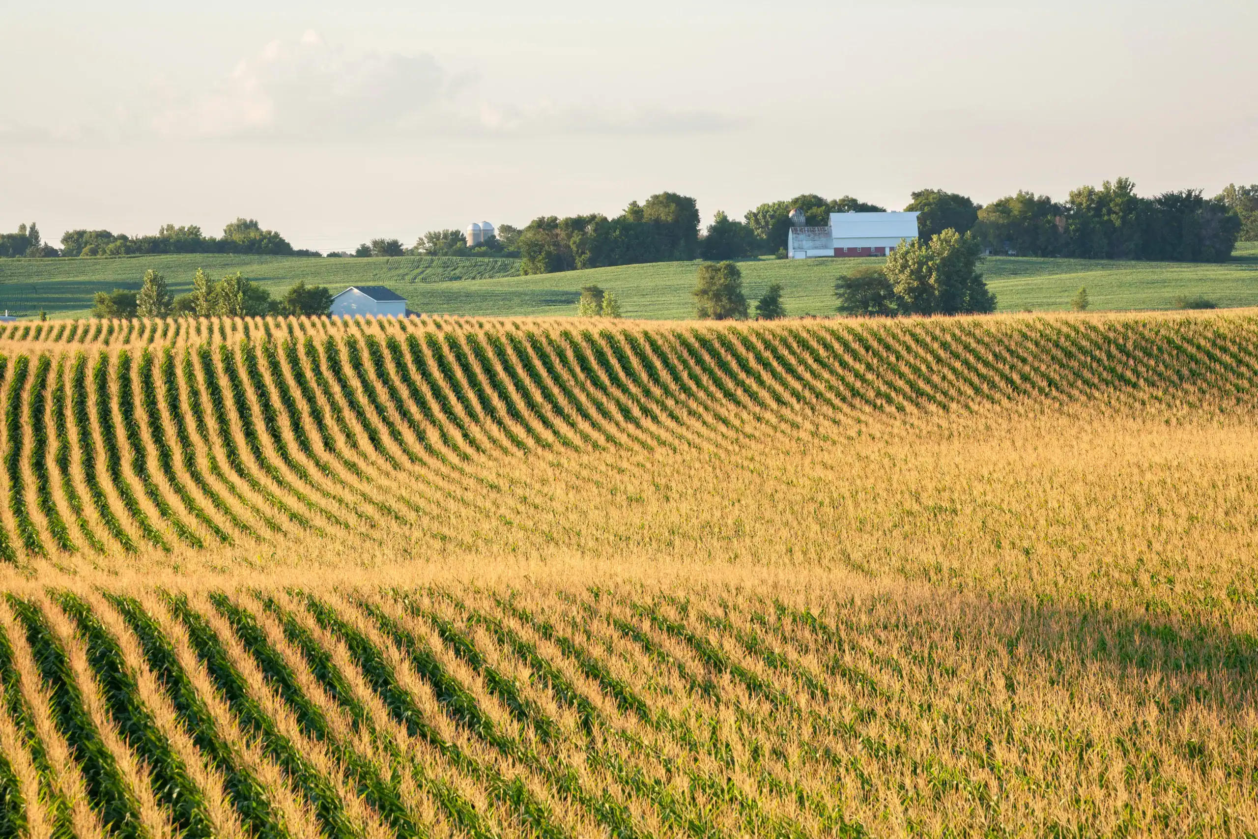 Farm Insurance Minnesota
