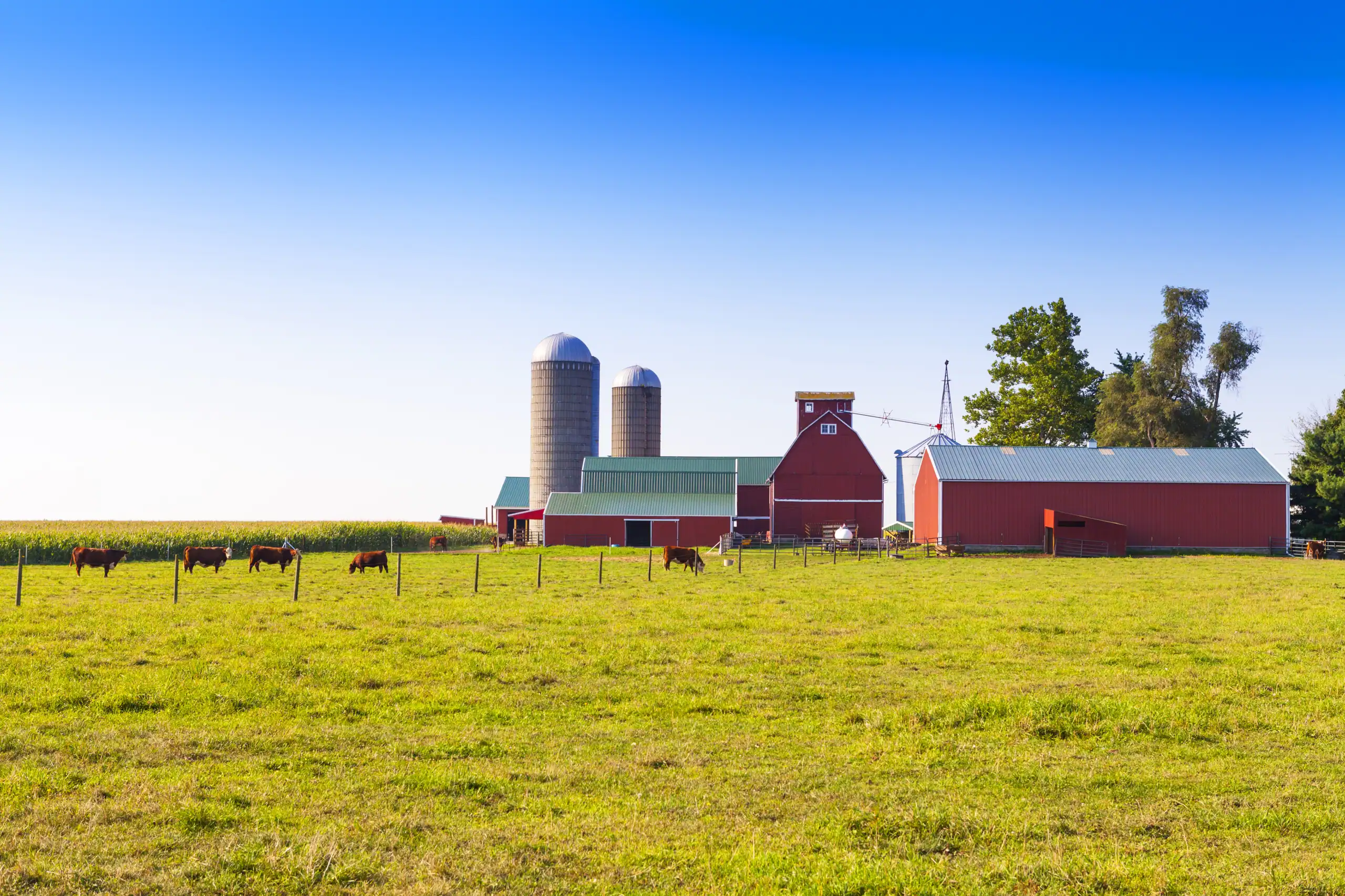 shutterstock_133314830 (1) Farm_Insurance_Minnesota