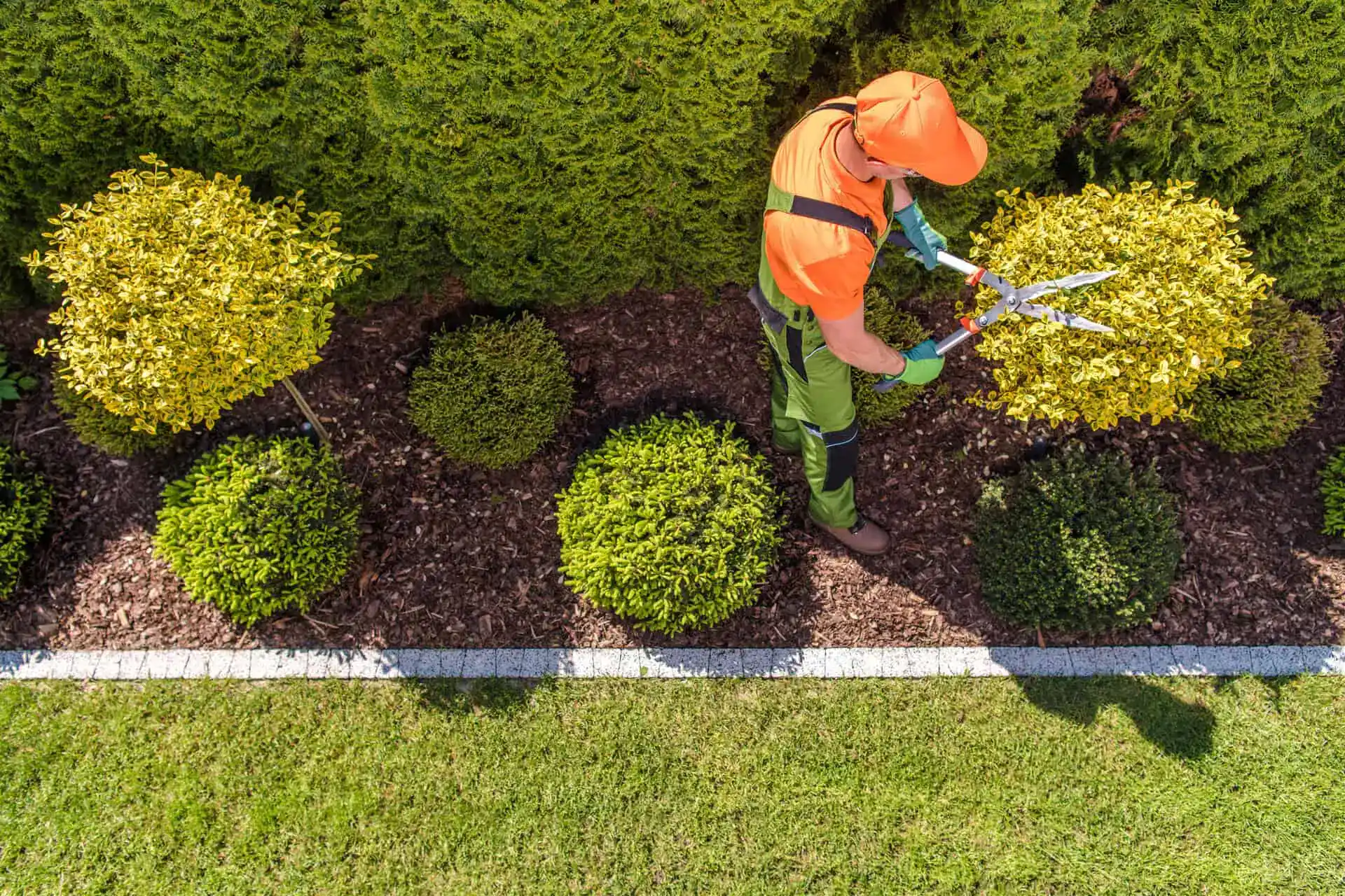 Landscaping Insurance Minnesota